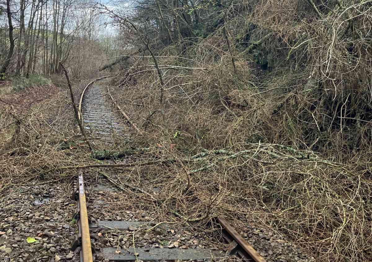 Storm damage on the Heart of Wales line. Photo: Network Rail