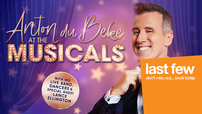 ANTON DU BEKE AT THE MUSICALS