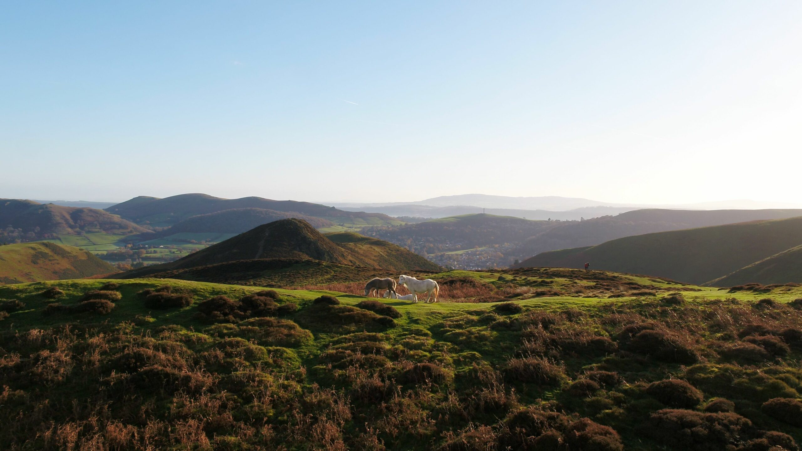 Long Mynd3 scaled